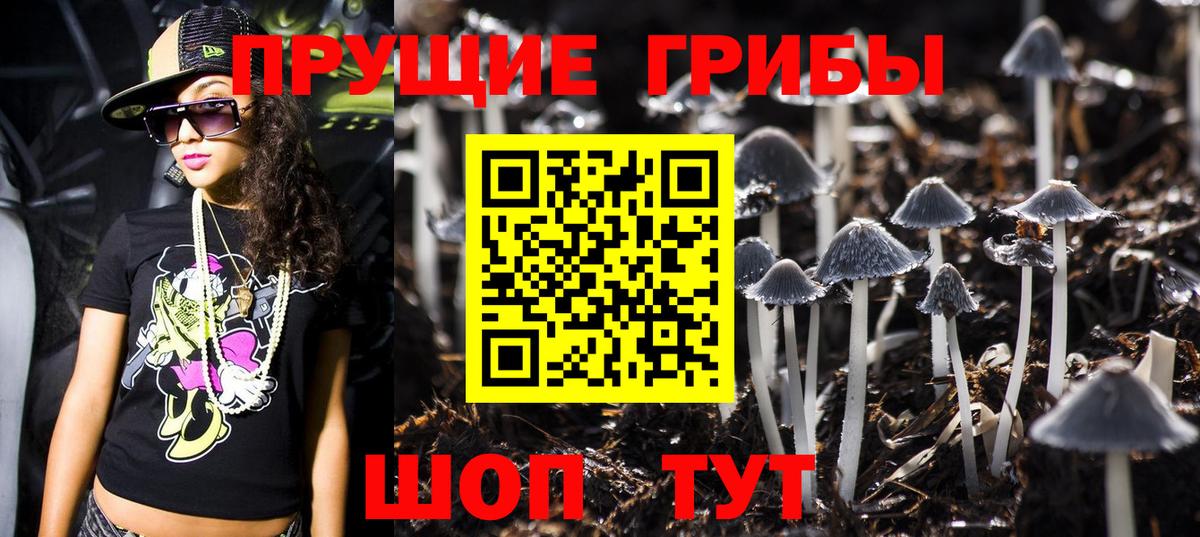 Псилоцибиновые грибы мицелий  цены   Бердск  Вход с VPN 
